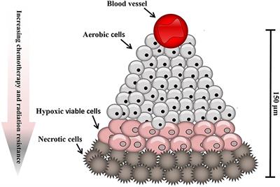 Hypoxia-Modified Cancer Cell Metabolism